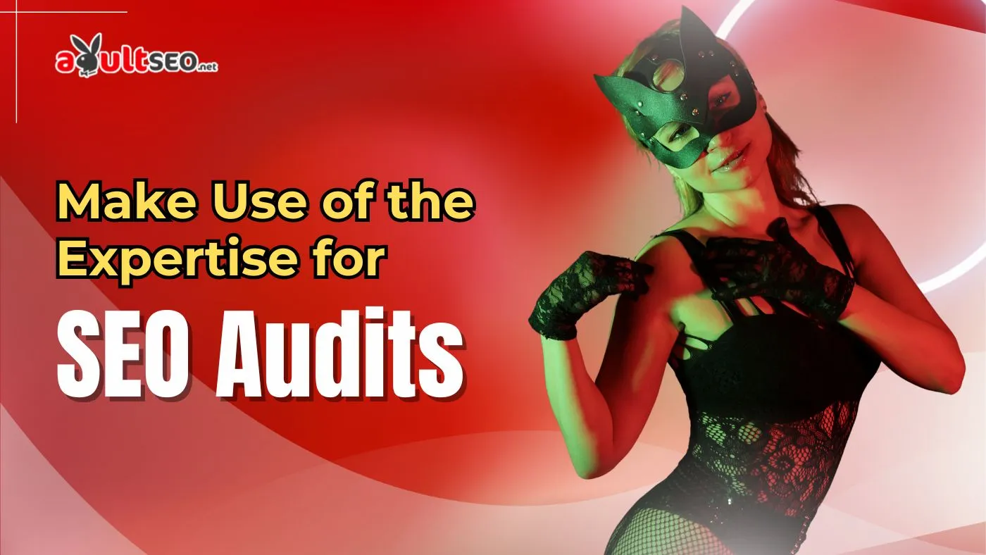 Make Use of the Expertise for SEO Audits